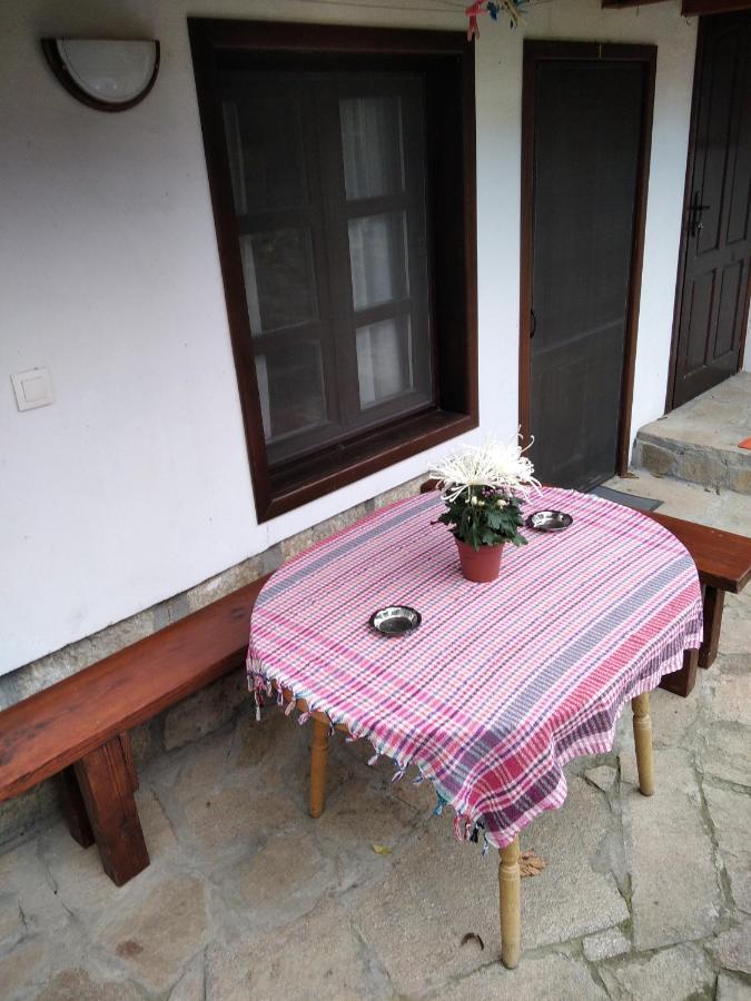 Razsukanova House , Разсукановата Къща ايلينا المظهر الخارجي الصورة
